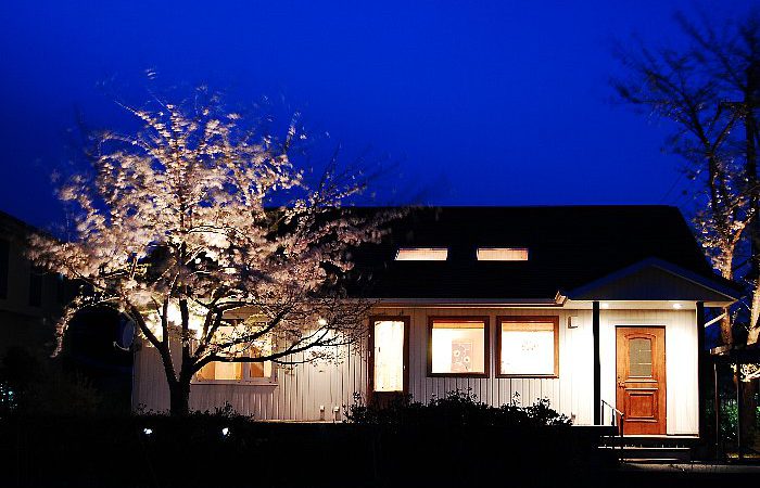 夜桜を楽しむ平屋の家