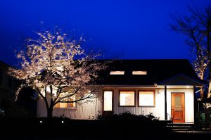 夜桜を楽しむ平屋の家