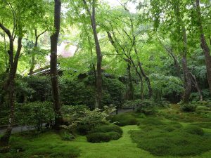 そうだ　京都、行こう