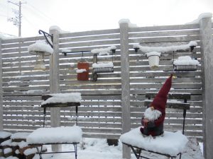 久しぶりの雪景色